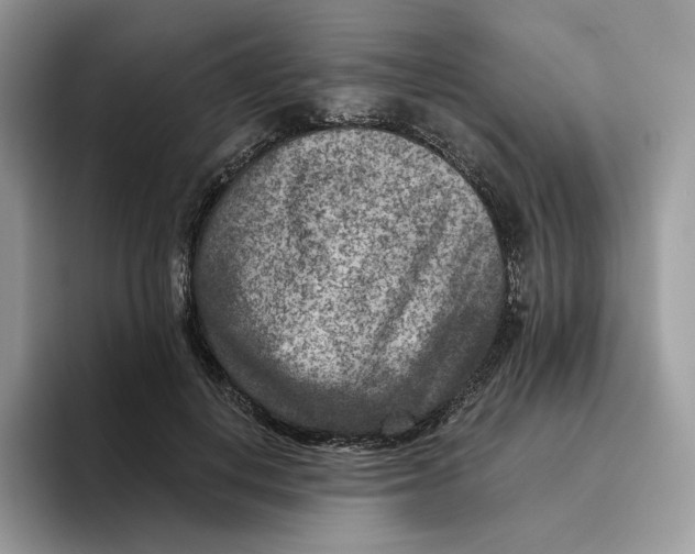 X0000095960648200802011123