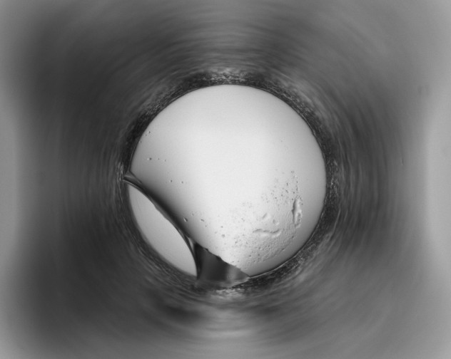 X0000095960649200802011123