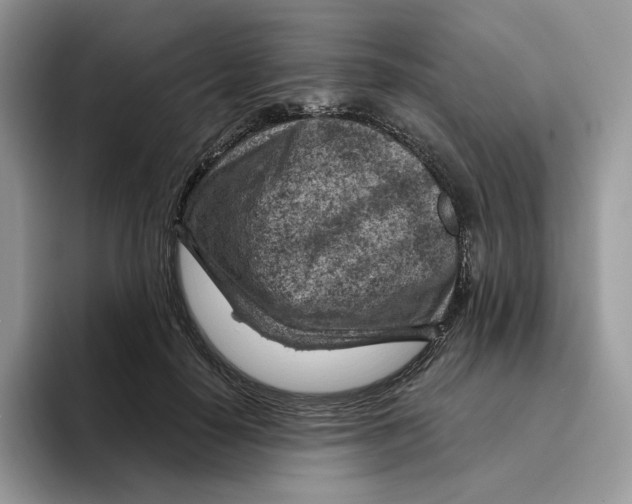 X0000095960650200802011123