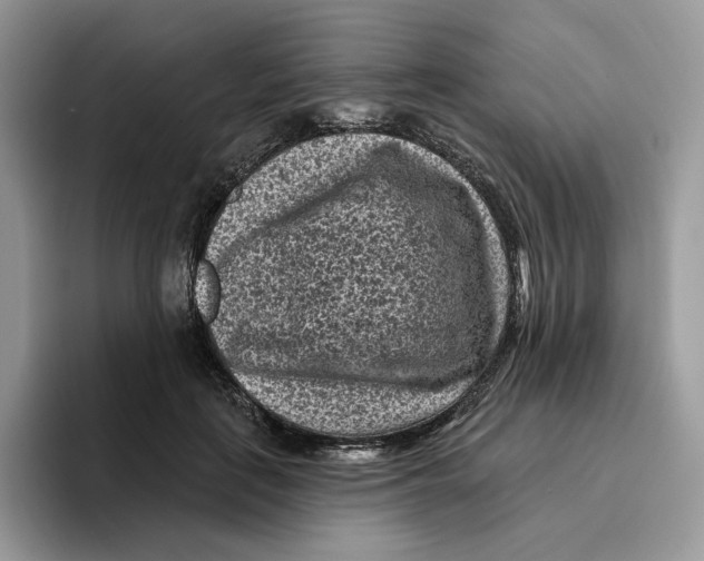 X0000095960651200802011123