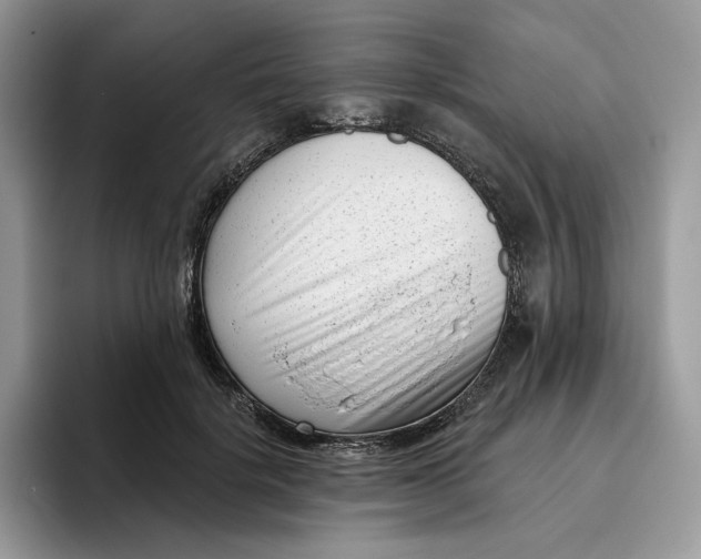 X0000095960652200802011123