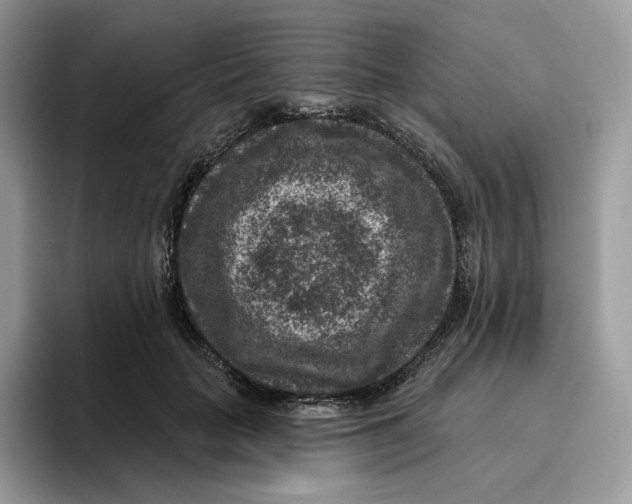 X0000095960653200802011123