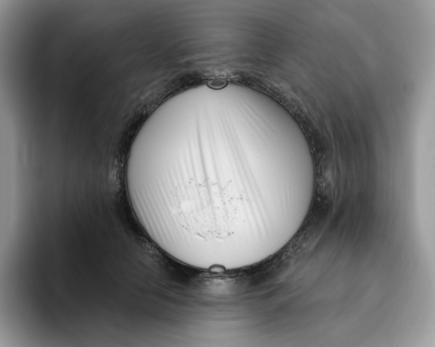 X0000095960658200802011123