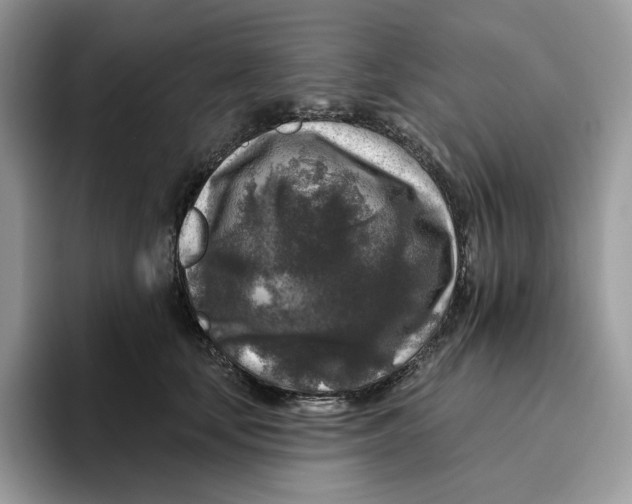 X0000095960659200802011123