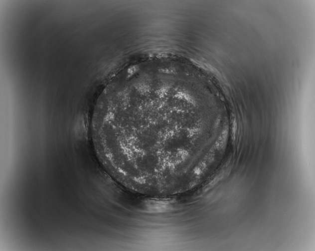 X0000095960661200802011123