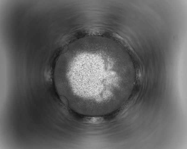 X0000095960663200802011123