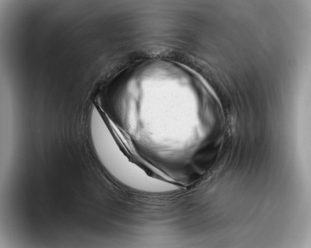 X0000095960664200802011123