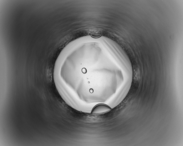 X0000095960666200802011123