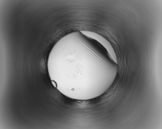 X0000095960667200802011123