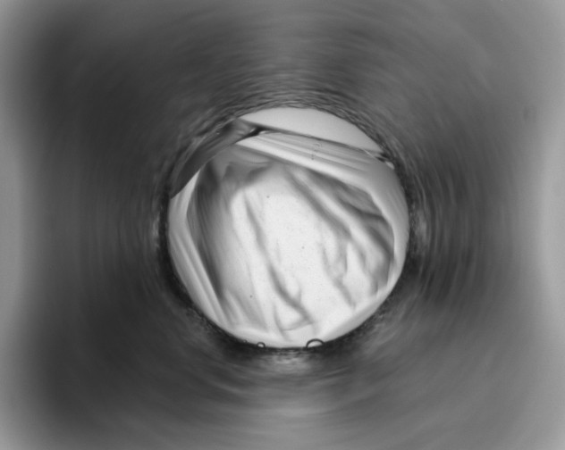 X0000095960668200802011123