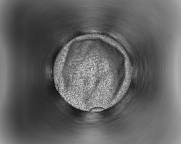 X0000095960669200802011123