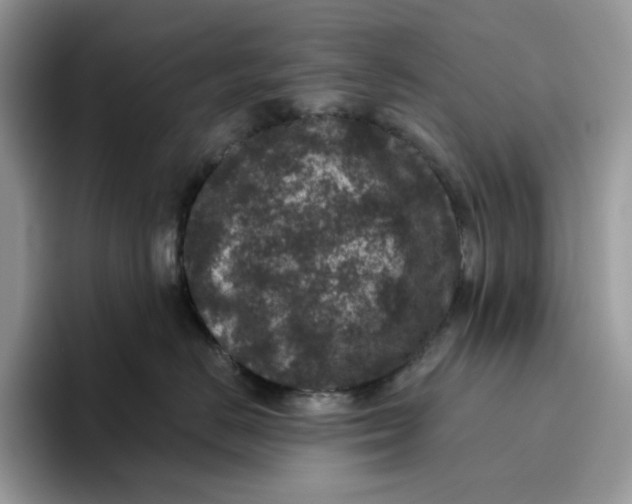 X0000095960670200802011123