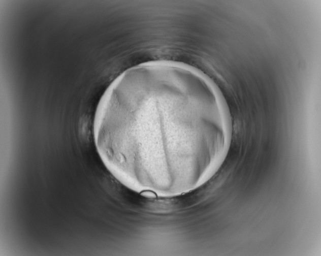 X0000095960671200802011123