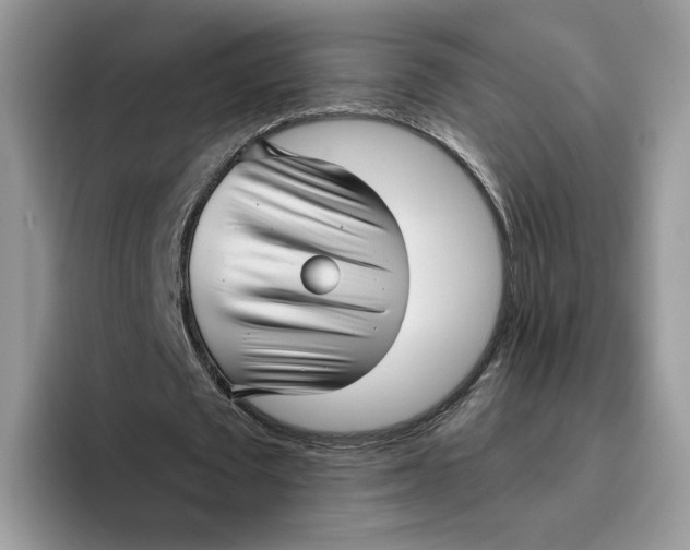 X0000095960673200802011122