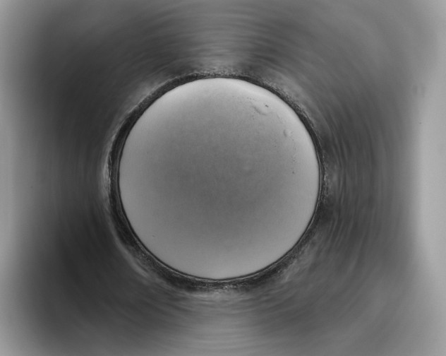 X0000095960674200802011122