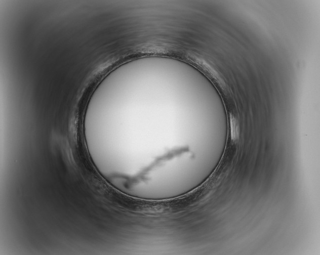 X0000095960675200802011122