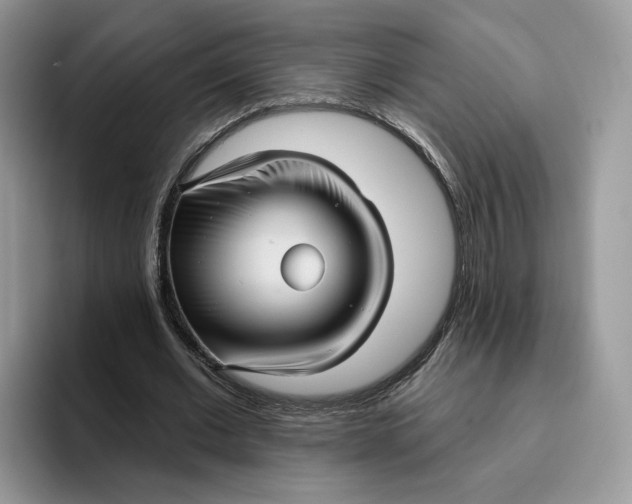 X0000095960677200802011122