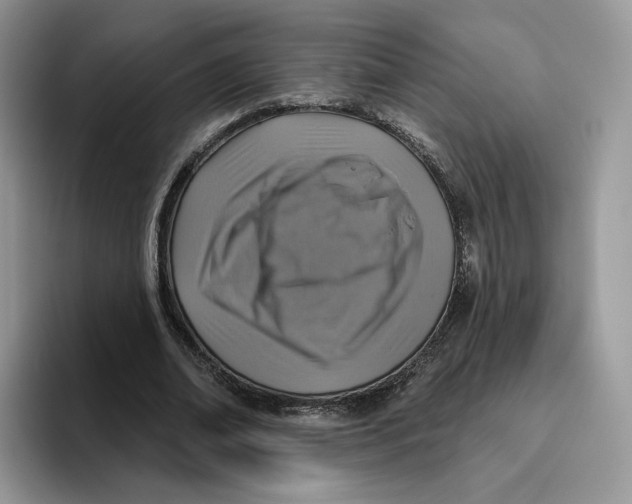 X0000095960678200802011122