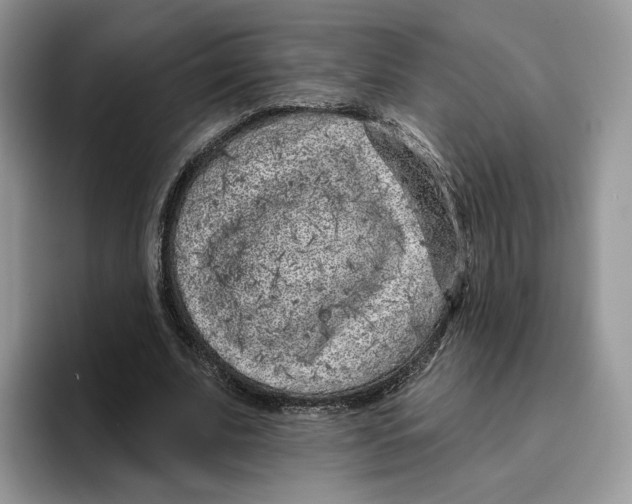 X0000095960679200802011122