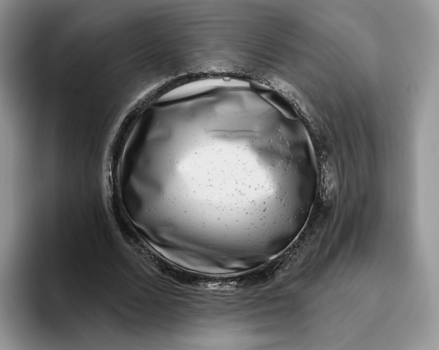 X0000095960680200802011122