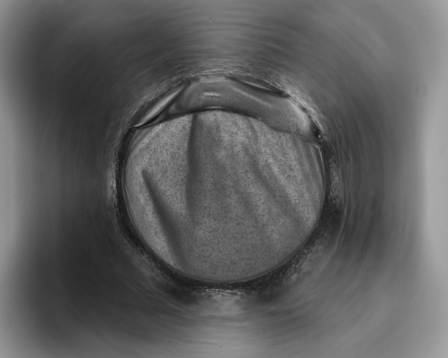 X0000095960681200802011122