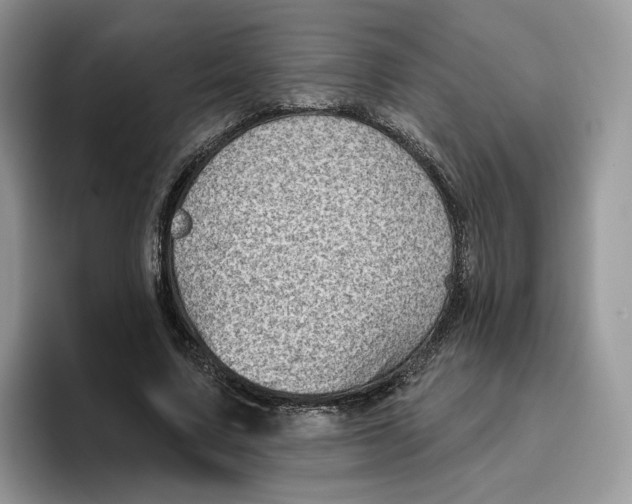 X0000095960683200802011122