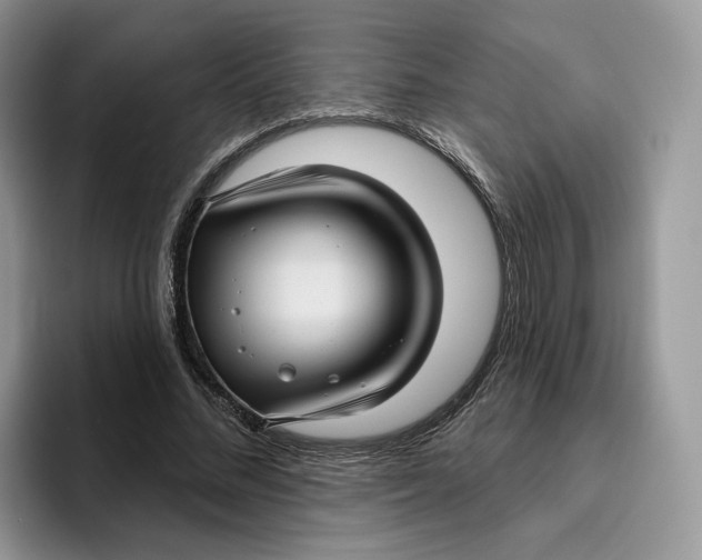 X0000095960684200802011122