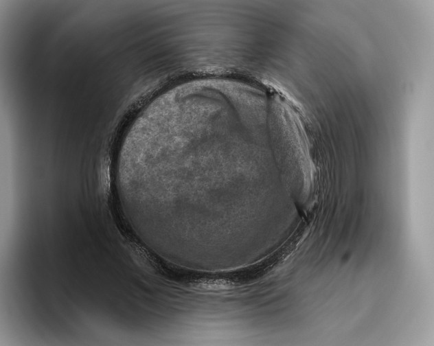 X0000095960685200802011122