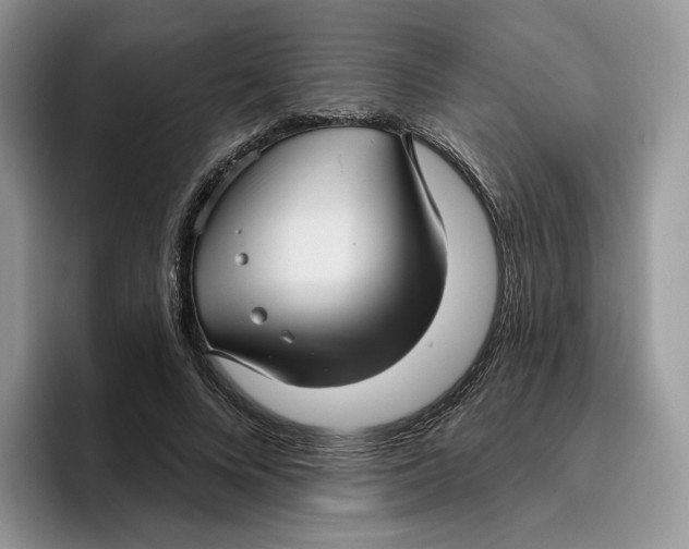 X0000095960688200802011122