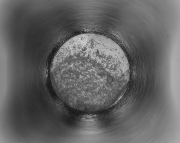 X0000095960691200802011122