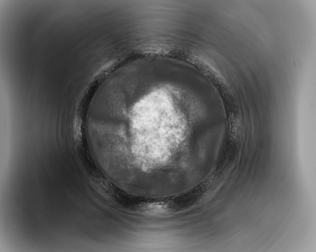 X0000095960692200802011122