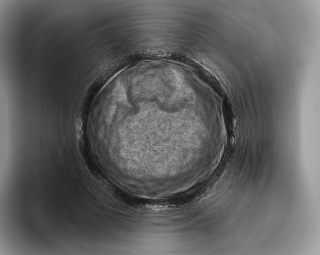 X0000095960693200802011122