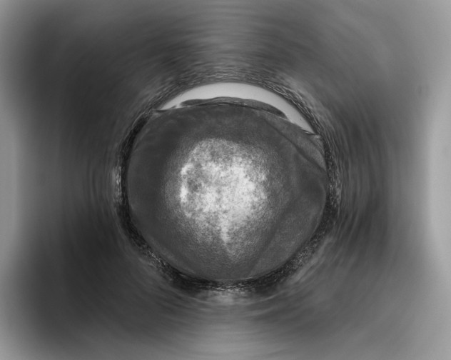 X0000095960696200802011122