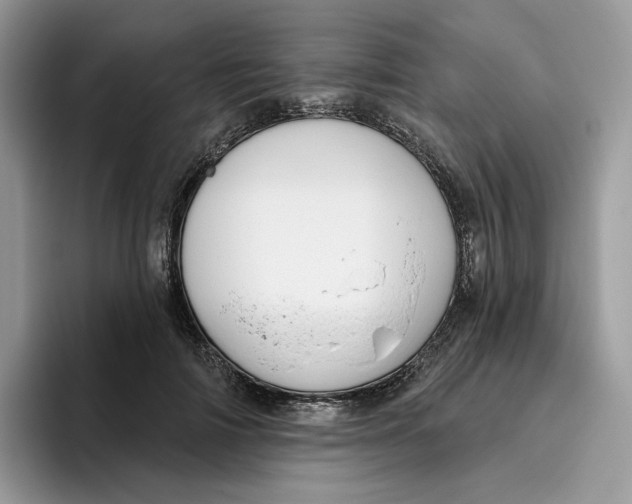 X0000095960698200802011122