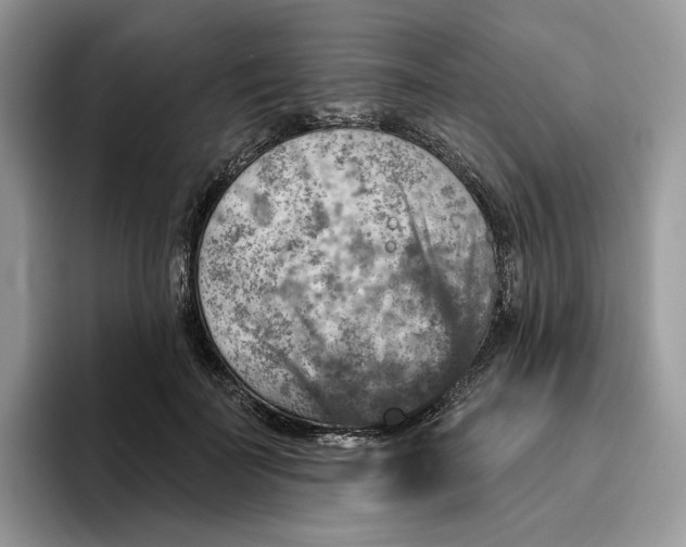 X0000095960699200802011122