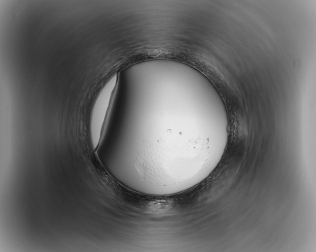 X0000095960700200802011122