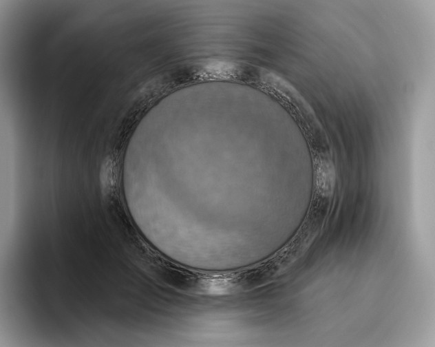 X0000095960701200802011122