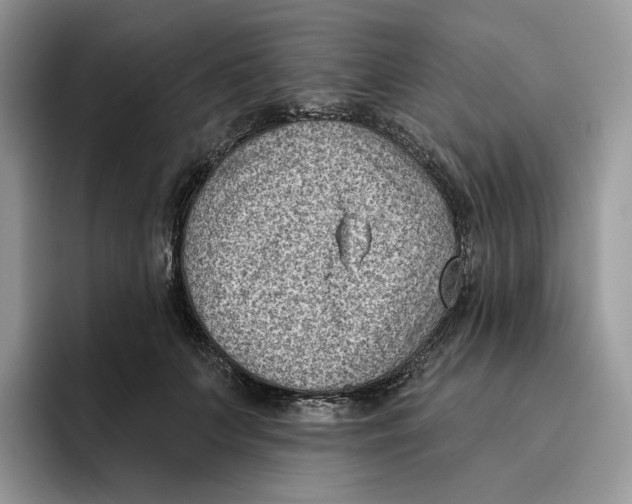 X0000095960703200802011122