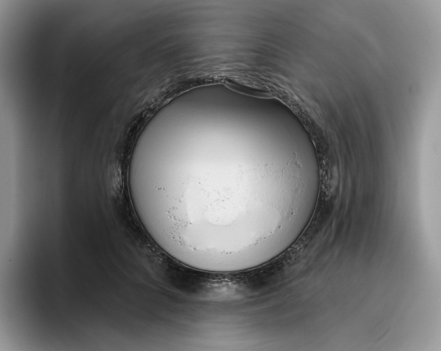 X0000095960704200802011122