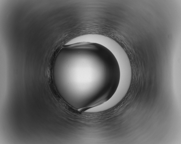 X0000095960705200802011122