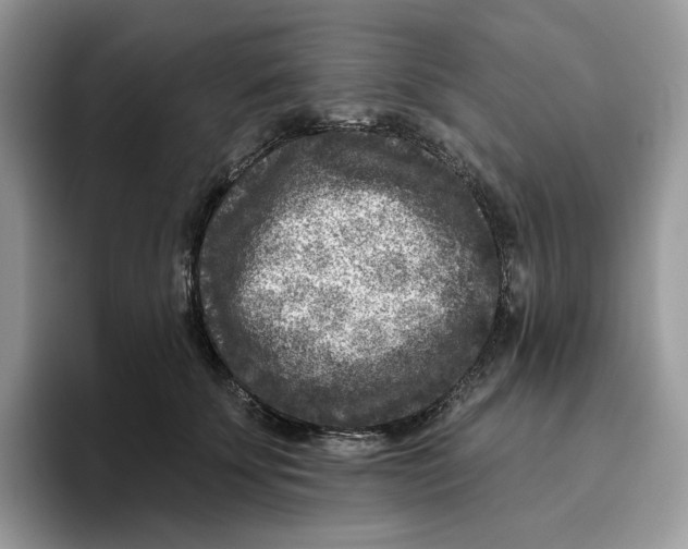 X0000095960707200802011122