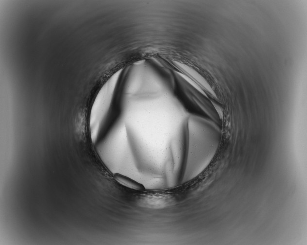 X0000095960708200802011122