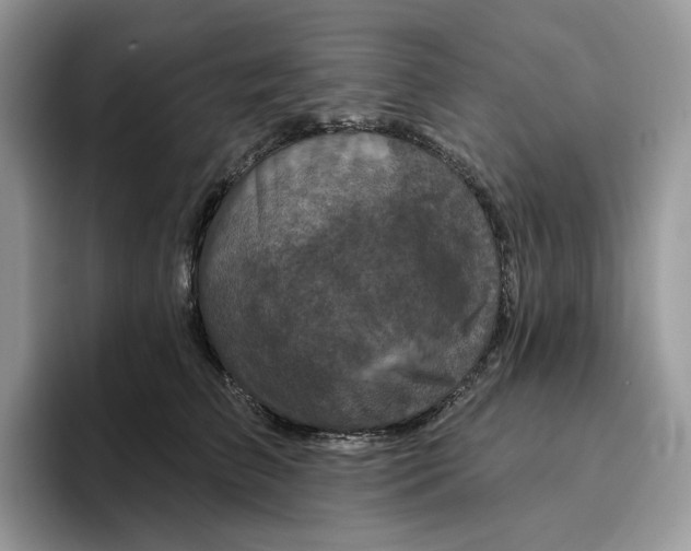 X0000095960709200802011122