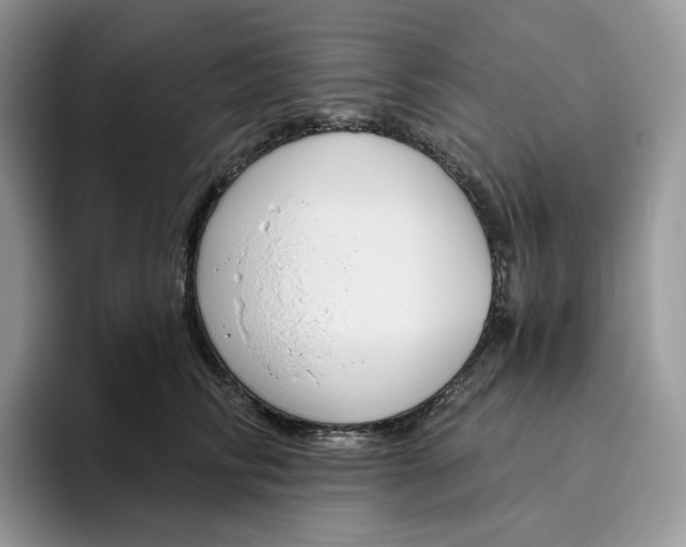 X0000095960710200802011122