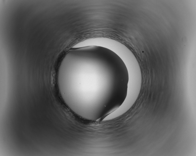 X0000095960712200802011122