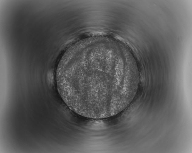 X0000095960715200802011122