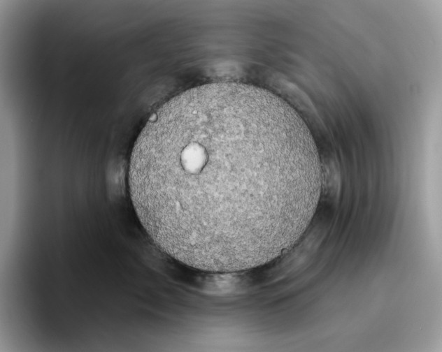 X0000095960717200802011122