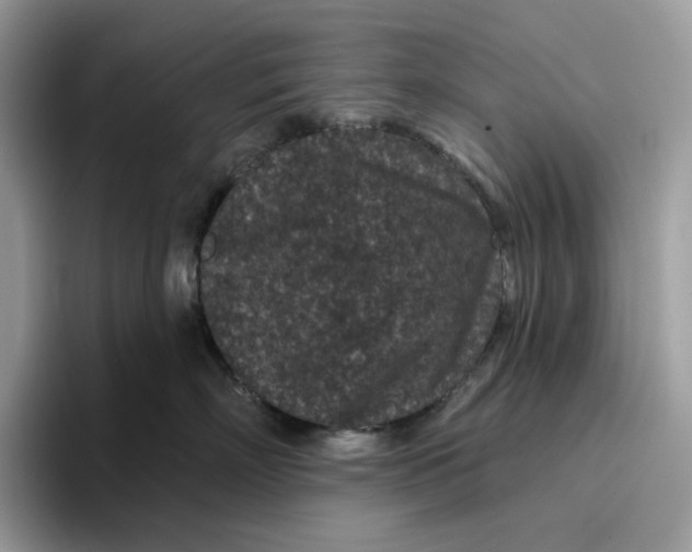 X0000095960718200802011122