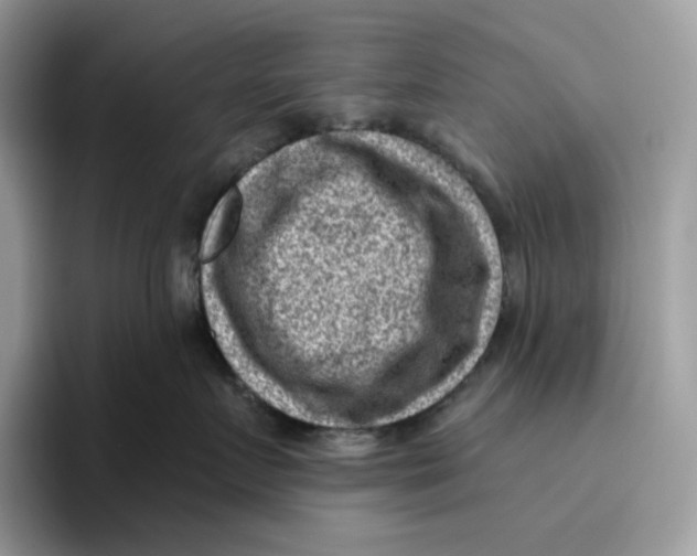 X0000095960719200802011122