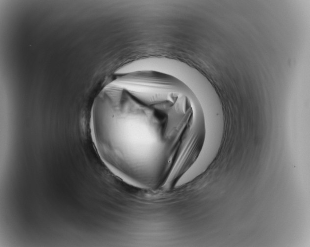 X0000095960720200802011122